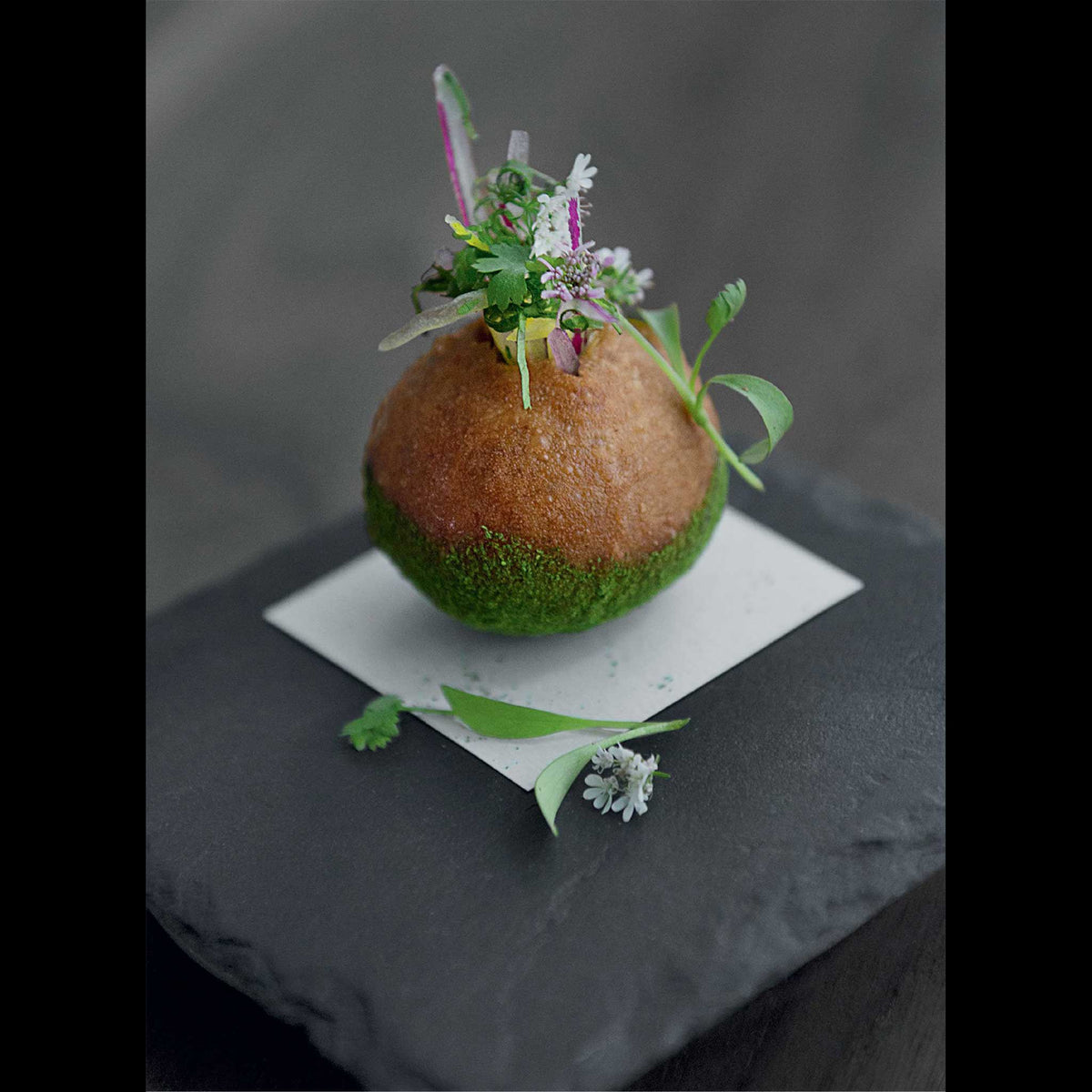 STORY ON A PLATE | The delicate art of plating dishes | BUCH | Gestalten Verlag - Charles & Marie