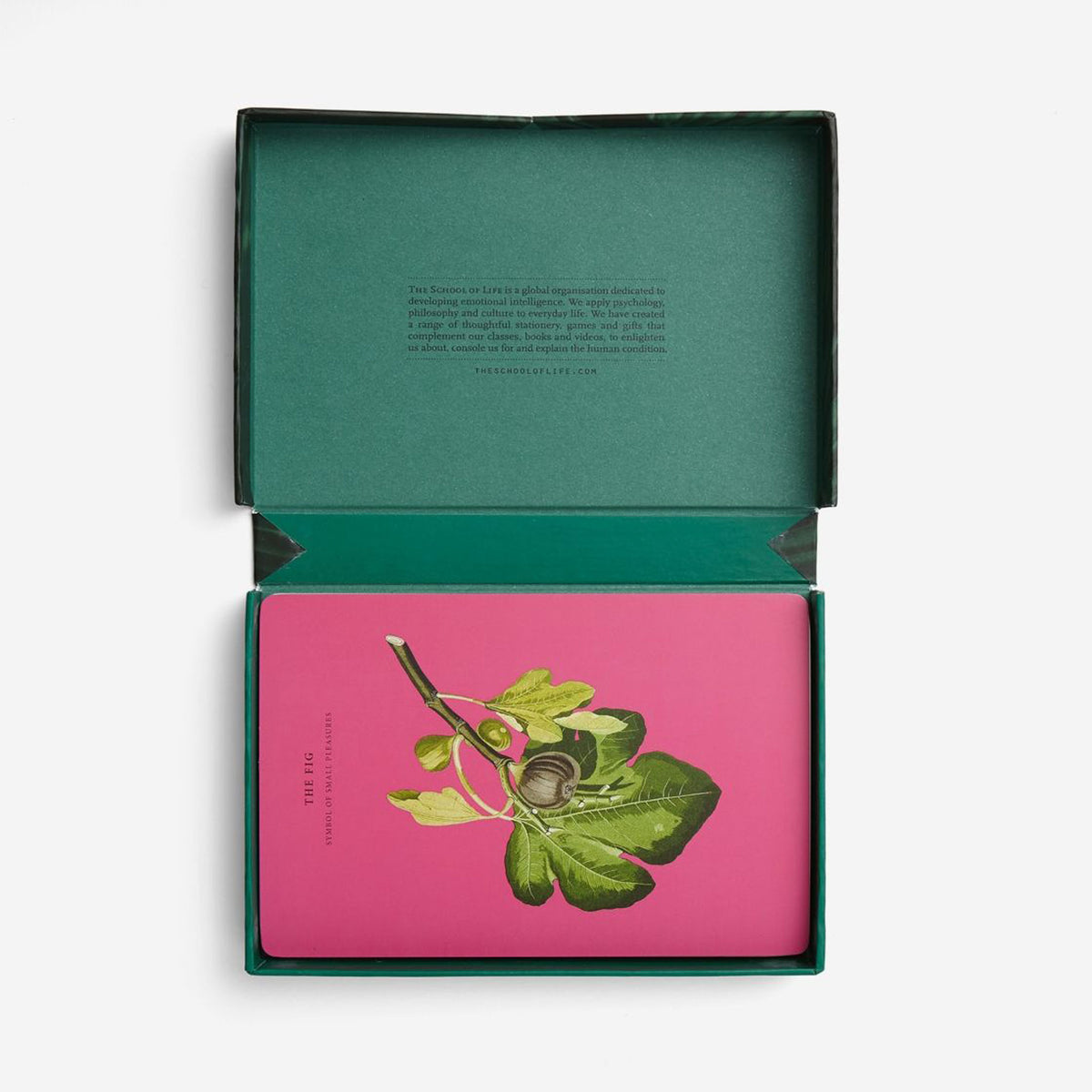SAGESSE DE LA NATURE | JEU DE CARTES | Édition anglaise | The School of Life