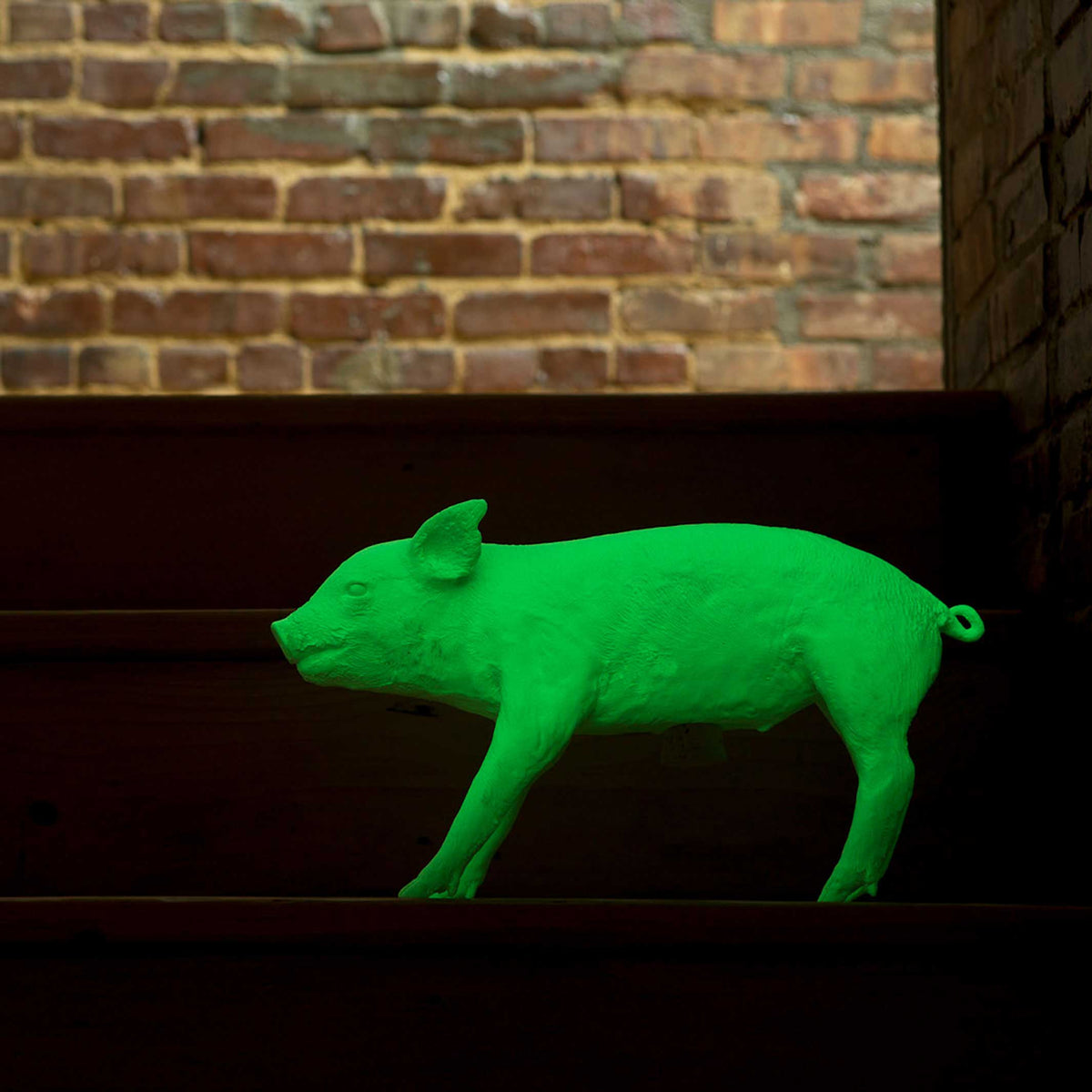 BANQUE sous forme de COCHON | grande tirelire | Harry Allen | Sont conscients