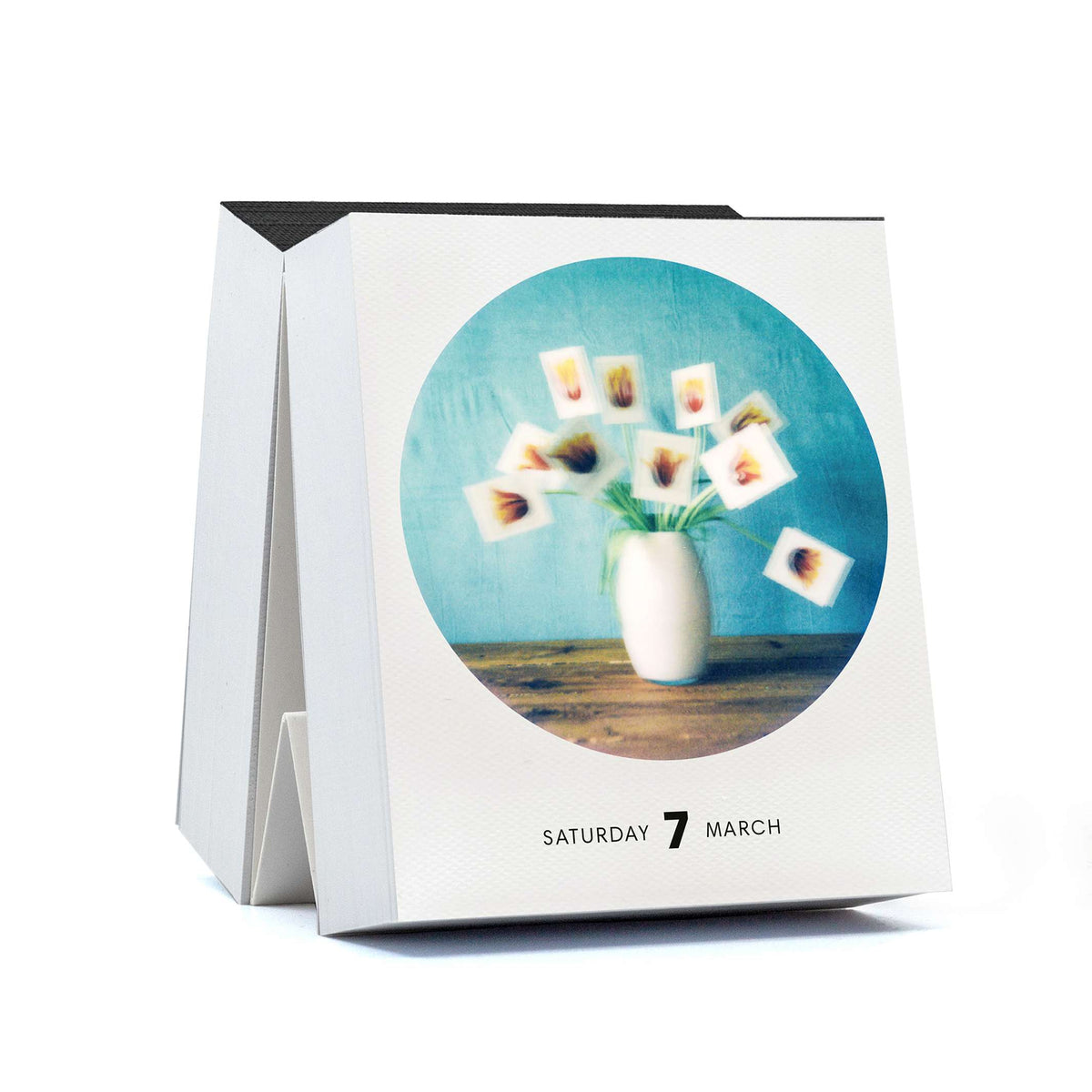 Polaroid-Kalender Photodarium 2026 – 365 Sofortbilder | seltmann+söhne