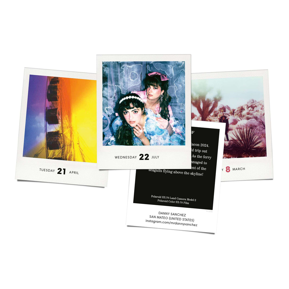 Polaroid-Kalender Photodarium 2026 – 365 Sofortbilder | seltmann+söhne