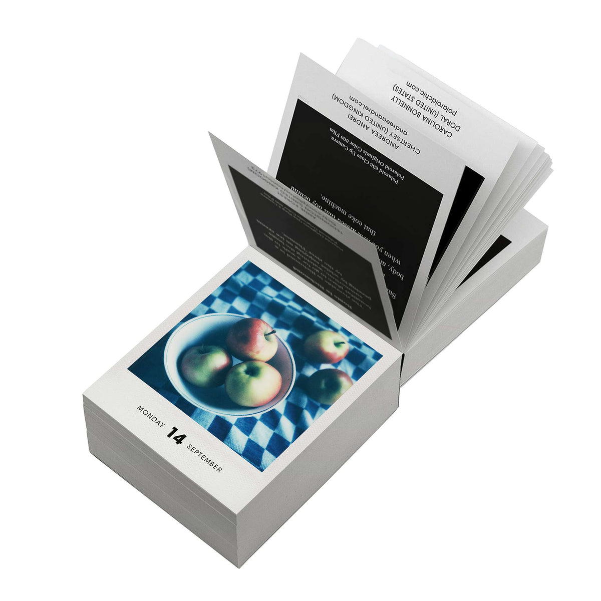 Polaroid-Kalender Photodarium 2026 – 365 Sofortbilder | seltmann+söhne