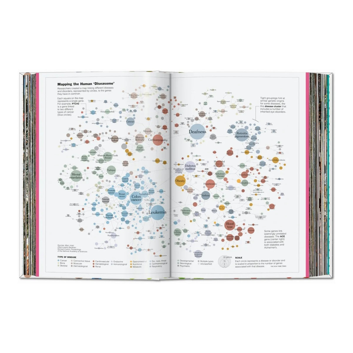 UNDERSTANDING the WORLD - The Atlas of Infographics - Buch | Taschen Verlag
