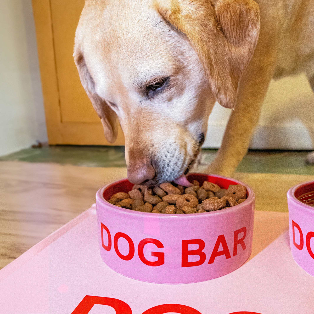 Hundenapf "Dog Bar" – Rosa · Keramik · 750 ml | Fisura