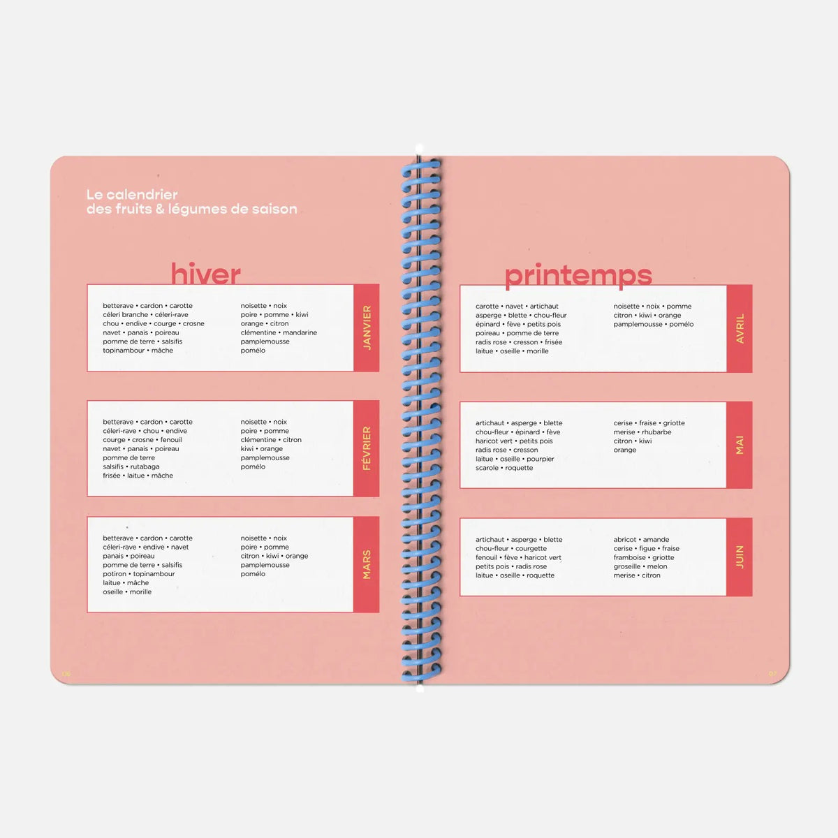 Rezepte-Notizbuch "Carnet de Recettes" – A5 | Papier Tigre