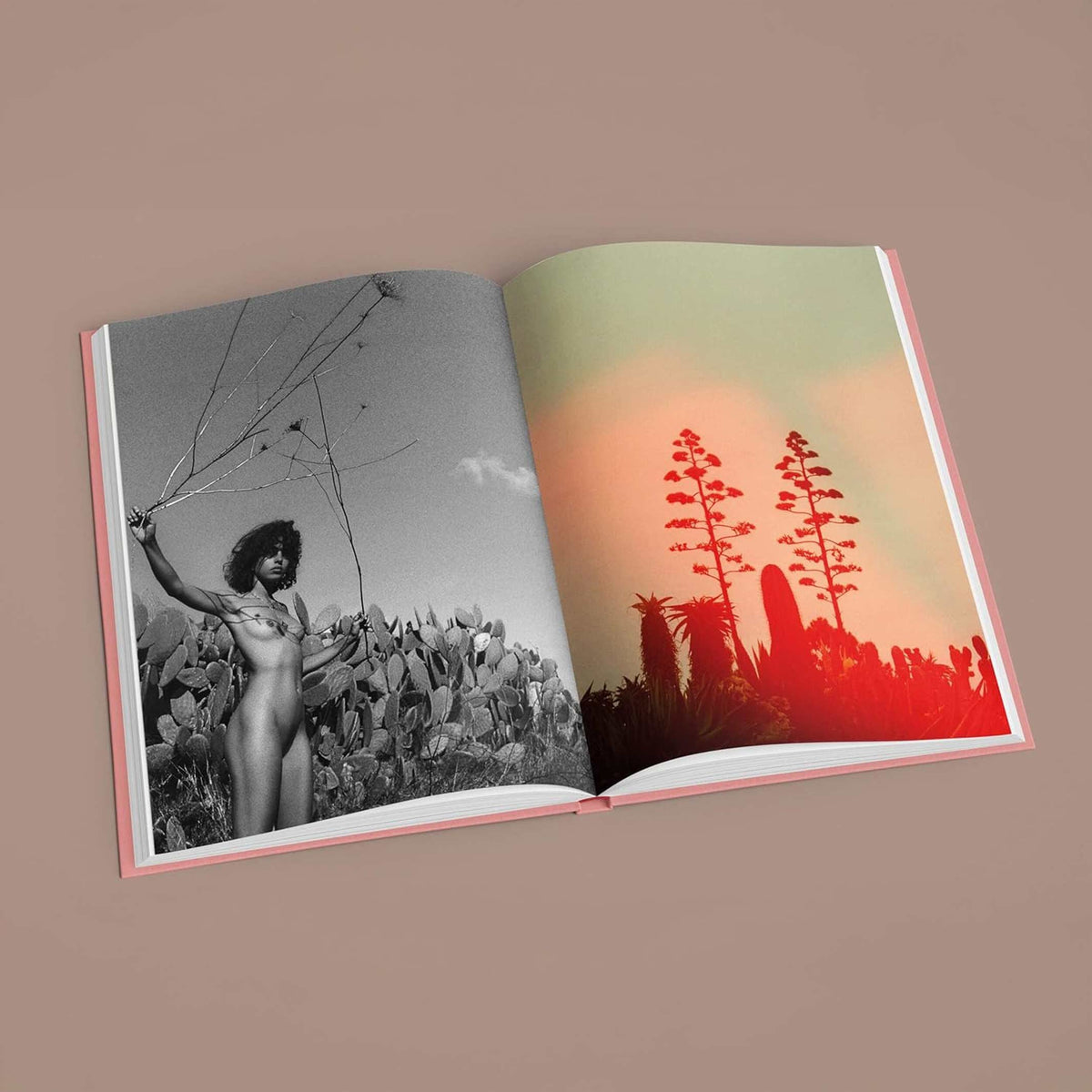 Fotobuch "La Isla" – Hardcover · 23 × 30 cm | Kate Bellm · Mirage