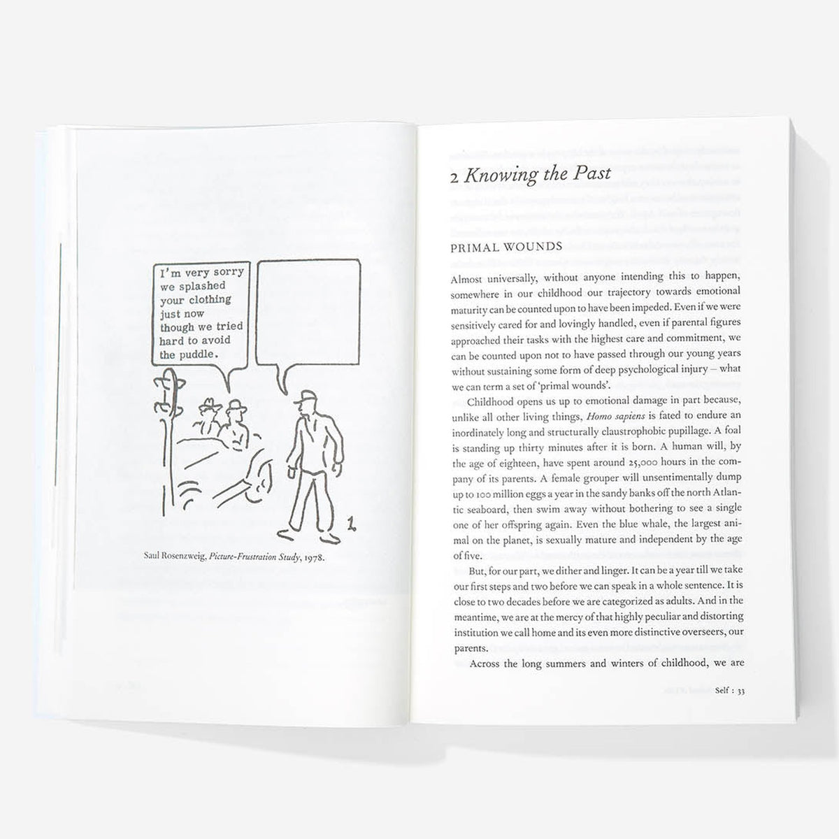 Taschenbuch "An Emotional Education" – Englisch | The School of Life
