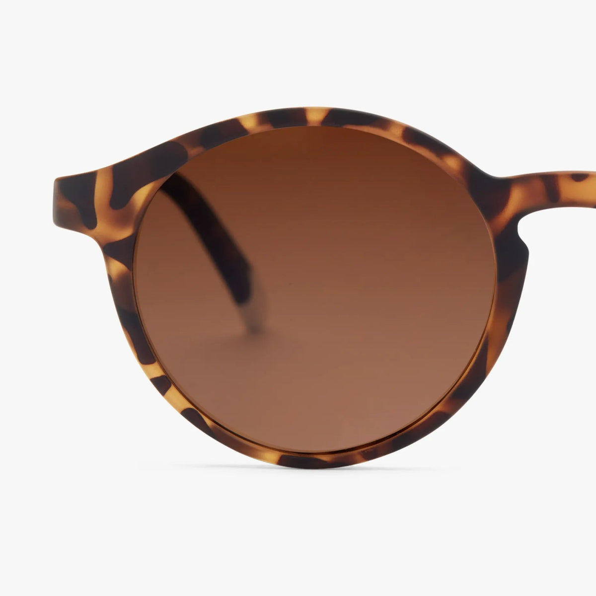 Sonnenbrille "Le Marais" – Havanna · polarisiert | Barner