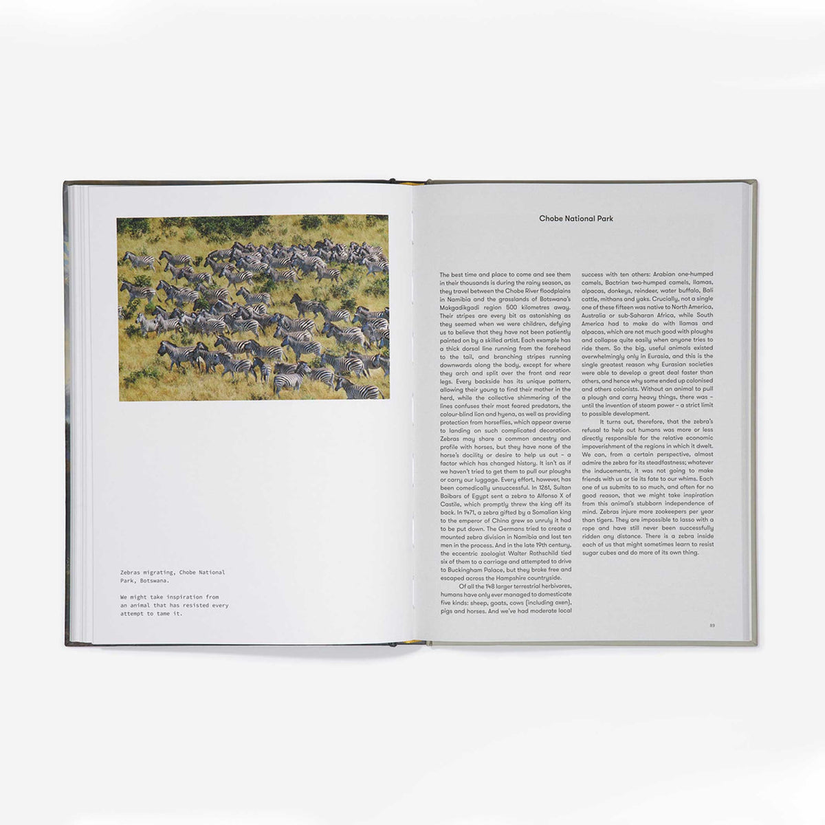 Buch "A Therapeutic Atlas" – Hardcover · Englisch | The School of Life