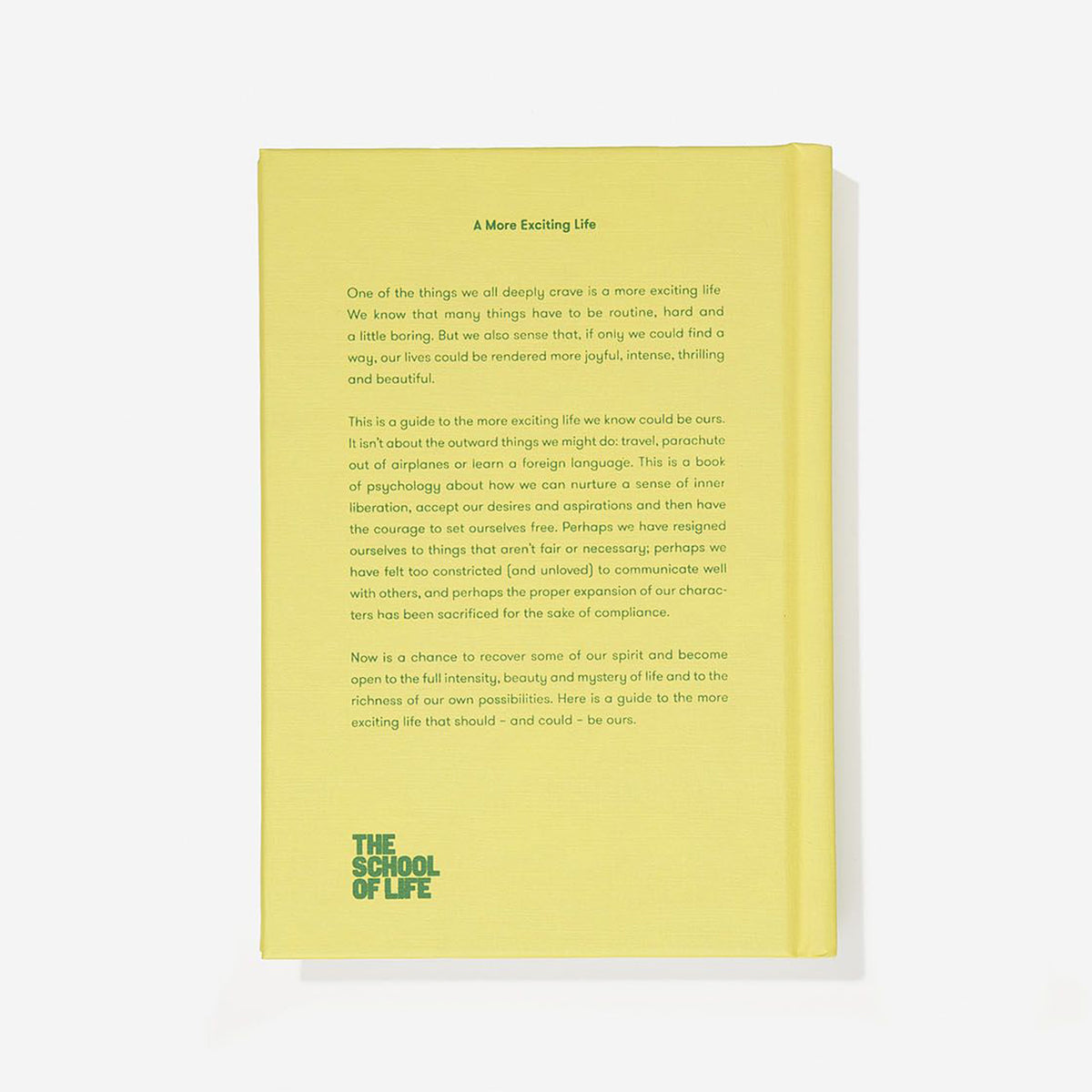 Buch "A More Exciting Life" | The School of Life
