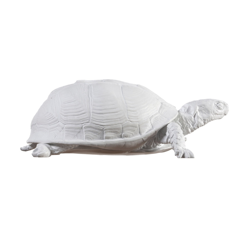 SCHILDKRÖTEN BOX | Harry Allen | Areaware