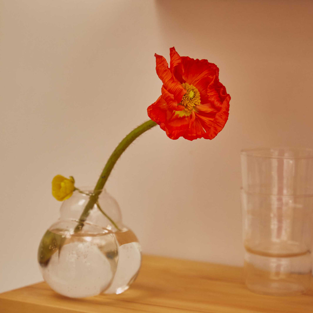 BUB BUD VASE | Klare GLASVASE | Talbot & Yoon | Areaware