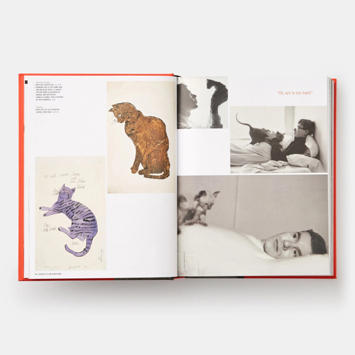 ANDY WARHOL: "GIANT" SIZE - Buch | Dave Hickey | PHAIDON Verlag