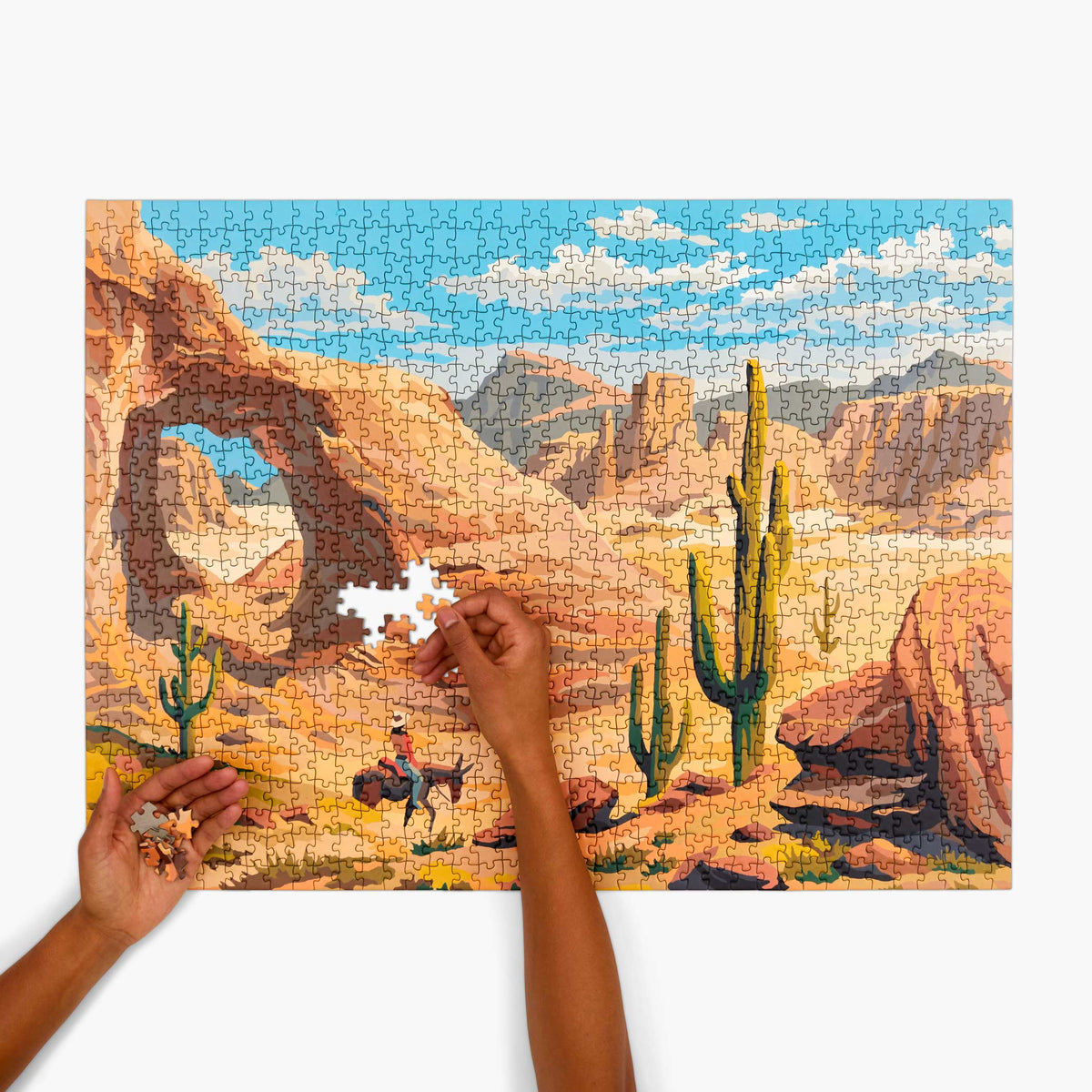 DESERT - Vintage Paint by Numbers - Puzzle 1.000 Teile | parkside