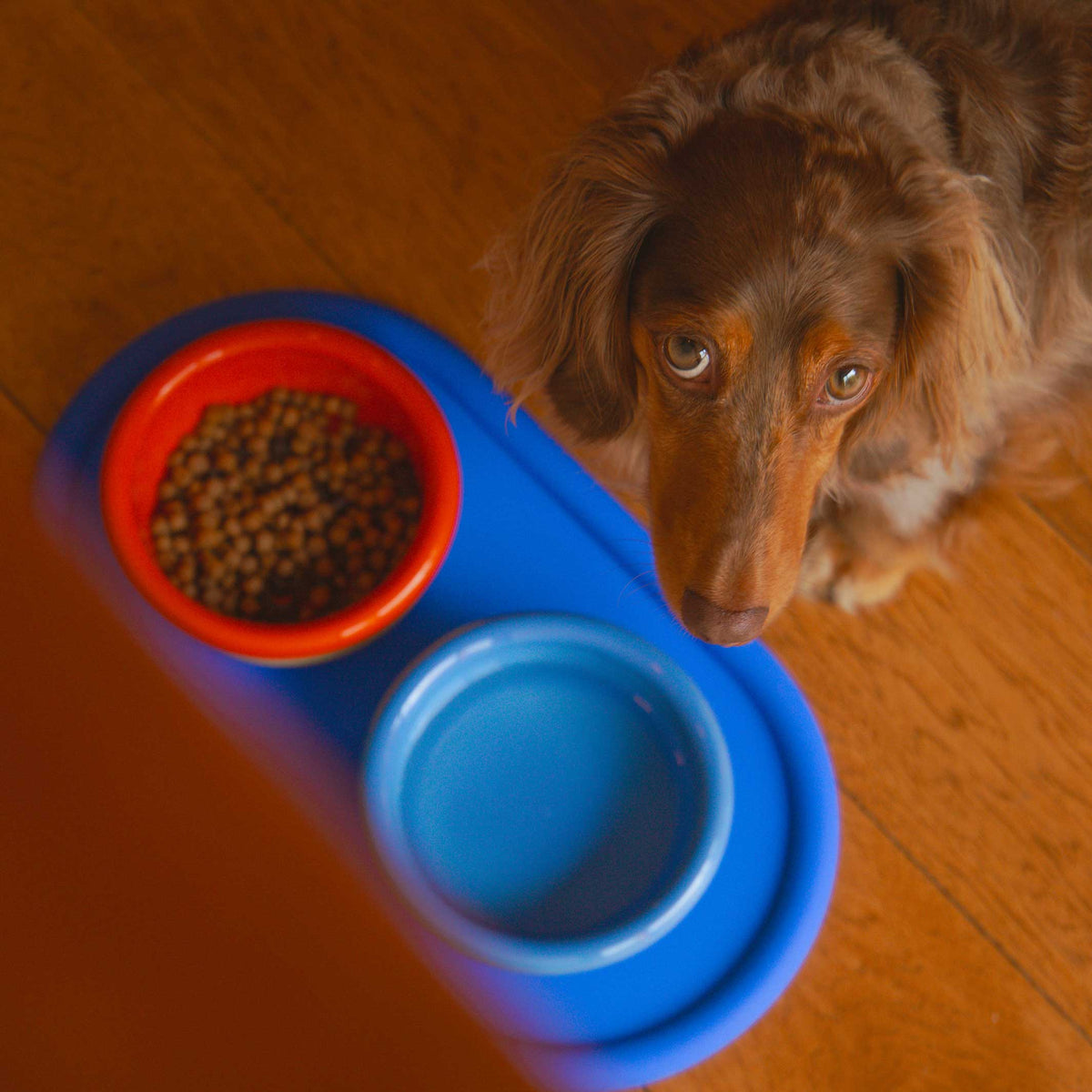 EVERY PET EATS SET - Fressnapf & Tierfutterbehälter | Areaware