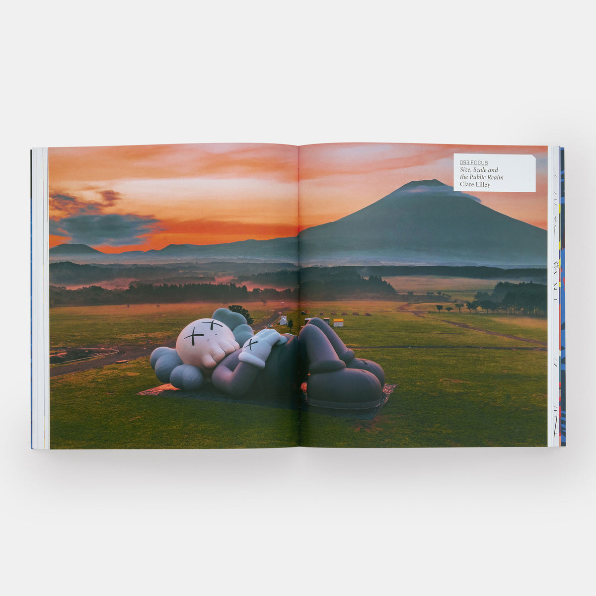 KAWS | BUCH | PHAIDON Verlag