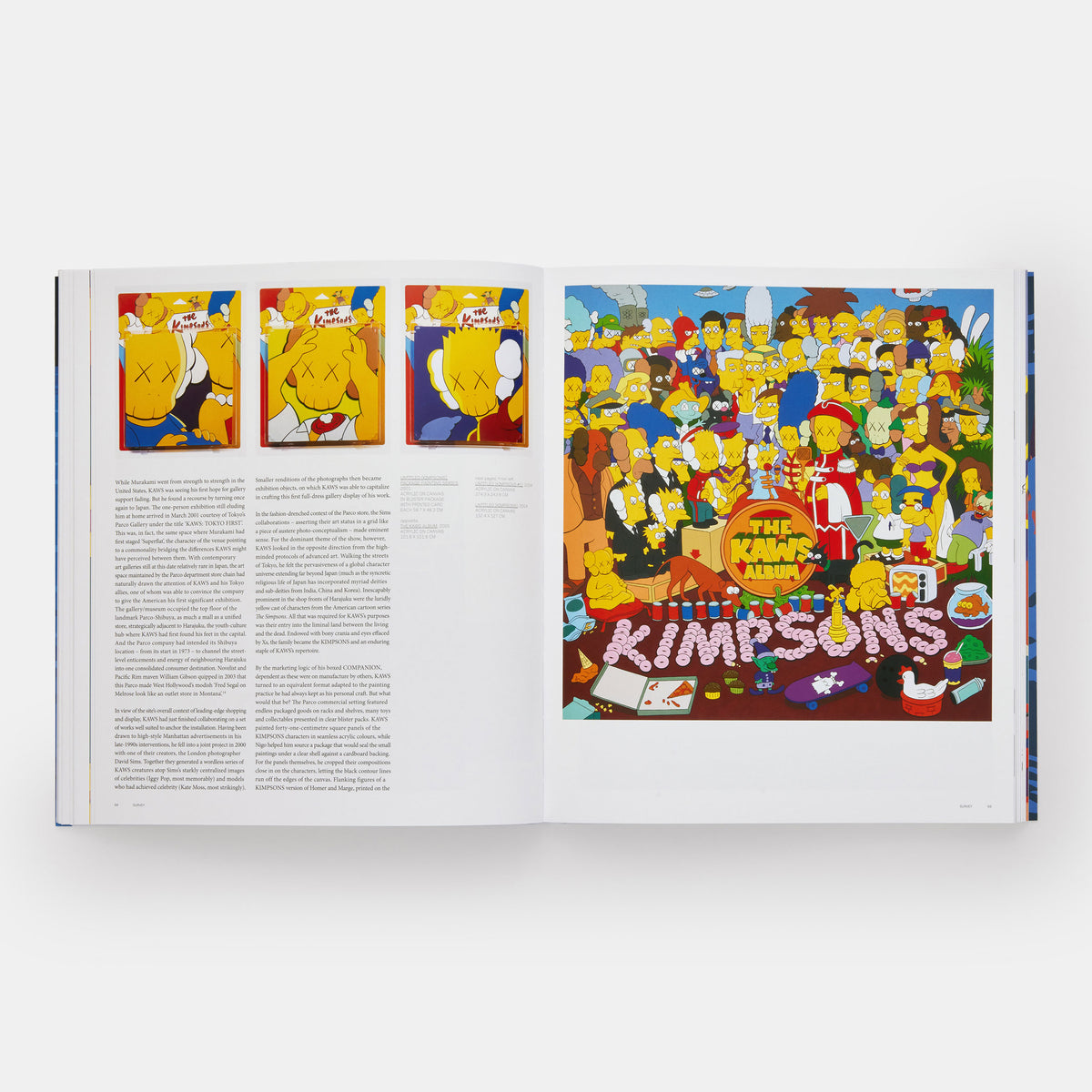 KAWS | BUCH | PHAIDON Verlag