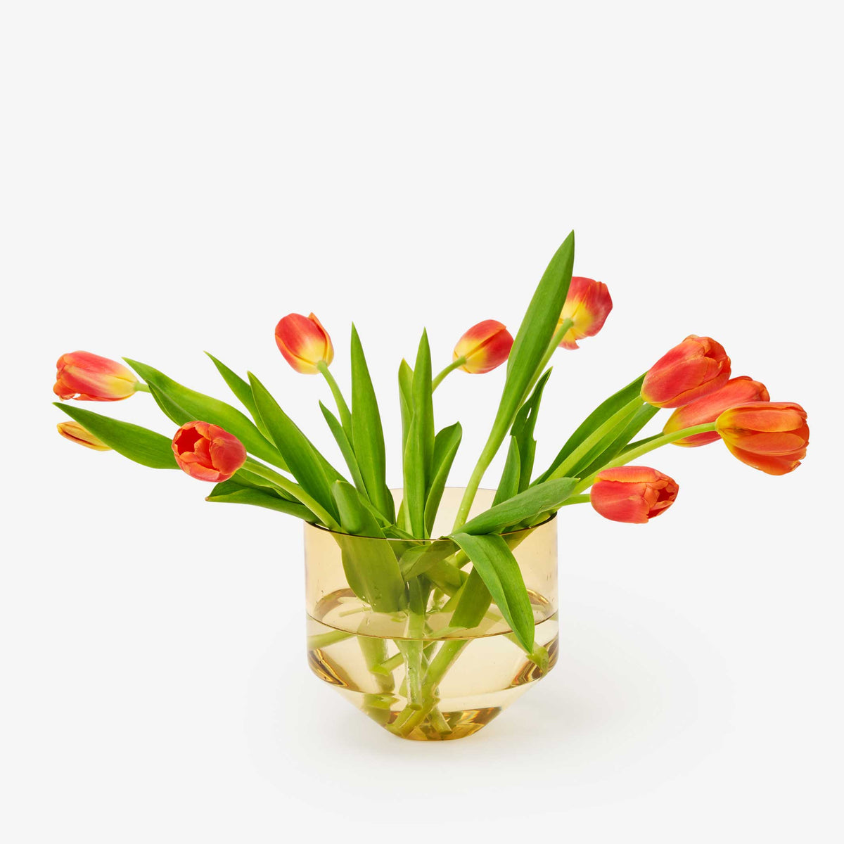 MODEL THREE PLANTER | BLUMENTOPF & PFLANZGEFÄSS | D=15 cm | Sam Bigio | Areaware