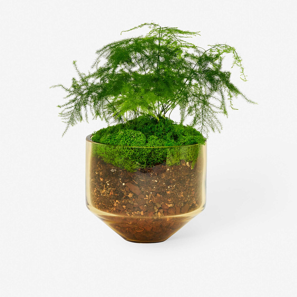 MODEL THREE PLANTER | BLUMENTOPF & PFLANZGEFÄSS | D=15 cm | Sam Bigio | Areaware