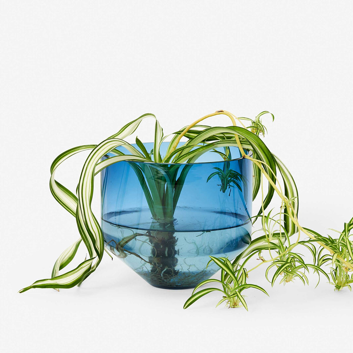 MODEL THREE PLANTER | BLUMENTOPF & PFLANZGEFÄSS | D=15 cm | Sam Bigio | Areaware