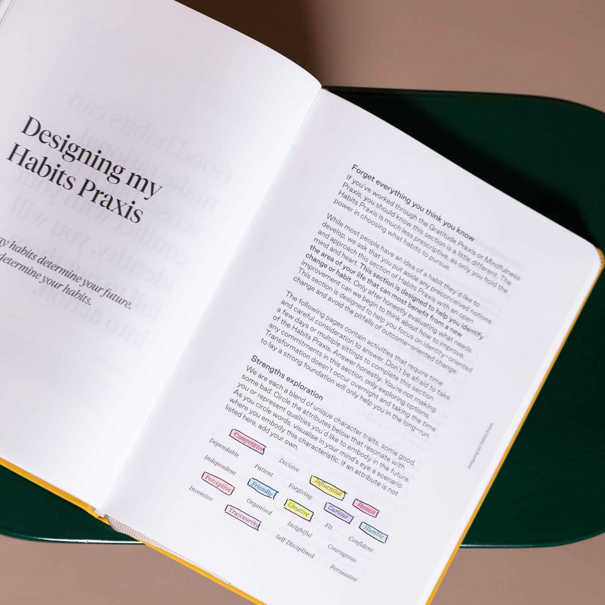 PRAXIS HABITS™️ - englisches TAGEBUCH - Gewohnheiten | KarstGoods