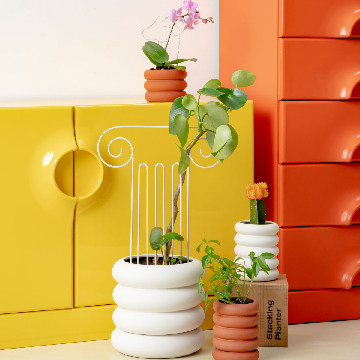 PLANT TRELLIS | PFLANZEN-RANKGITTER | Chen Chen & Kai Williams | Areaware