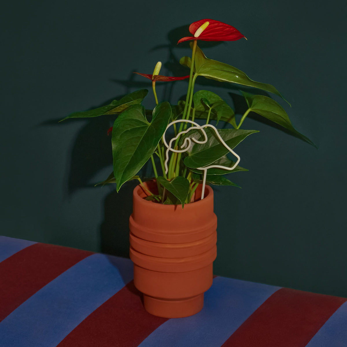 PLANT TRELLIS | PFLANZEN-RANKGITTER | Chen Chen & Kai Williams | Areaware