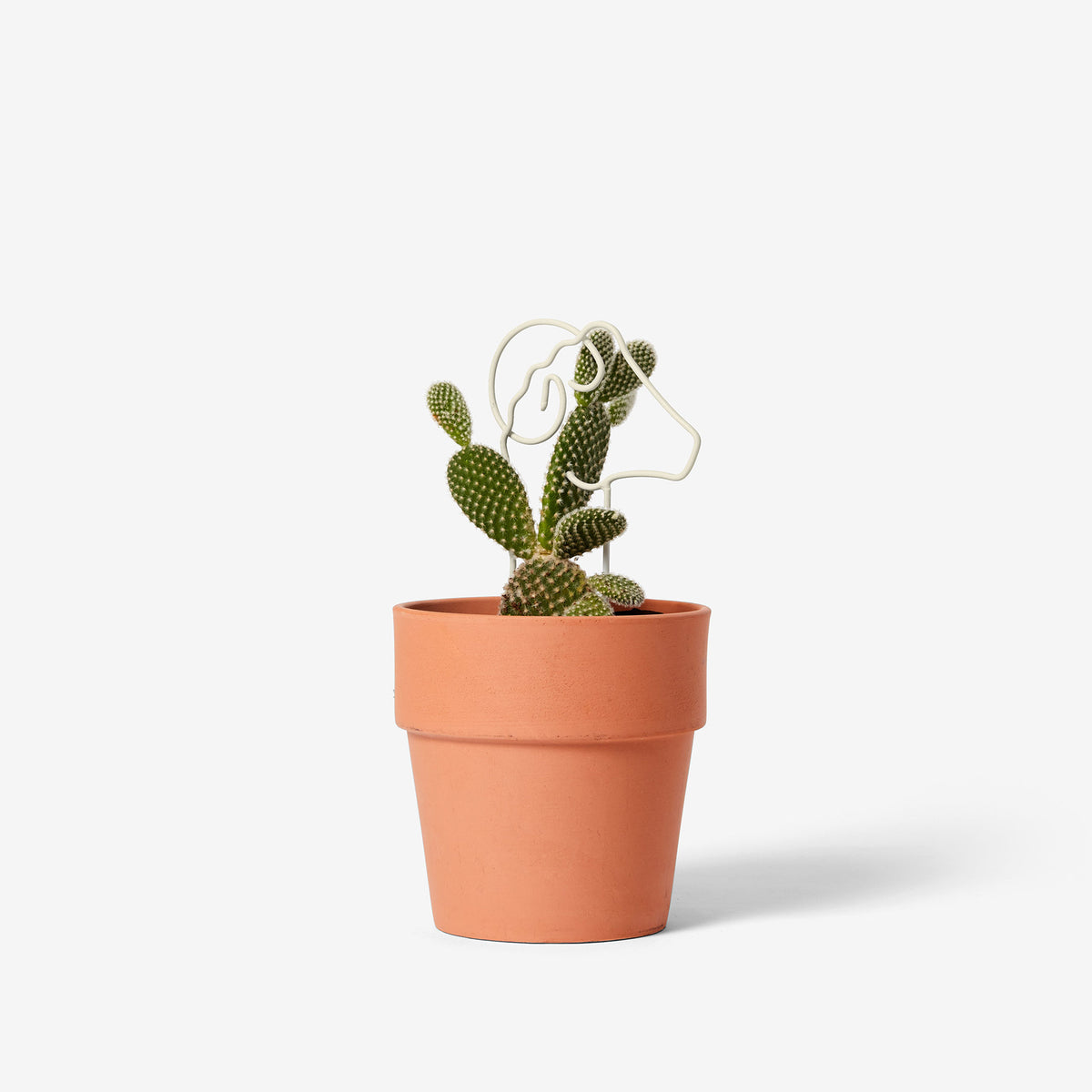 PLANT TRELLIS | PFLANZEN-RANKGITTER | Chen Chen & Kai Williams | Areaware