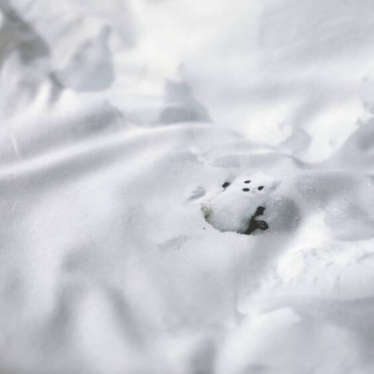 SNOW - Drap-housse | Foonka