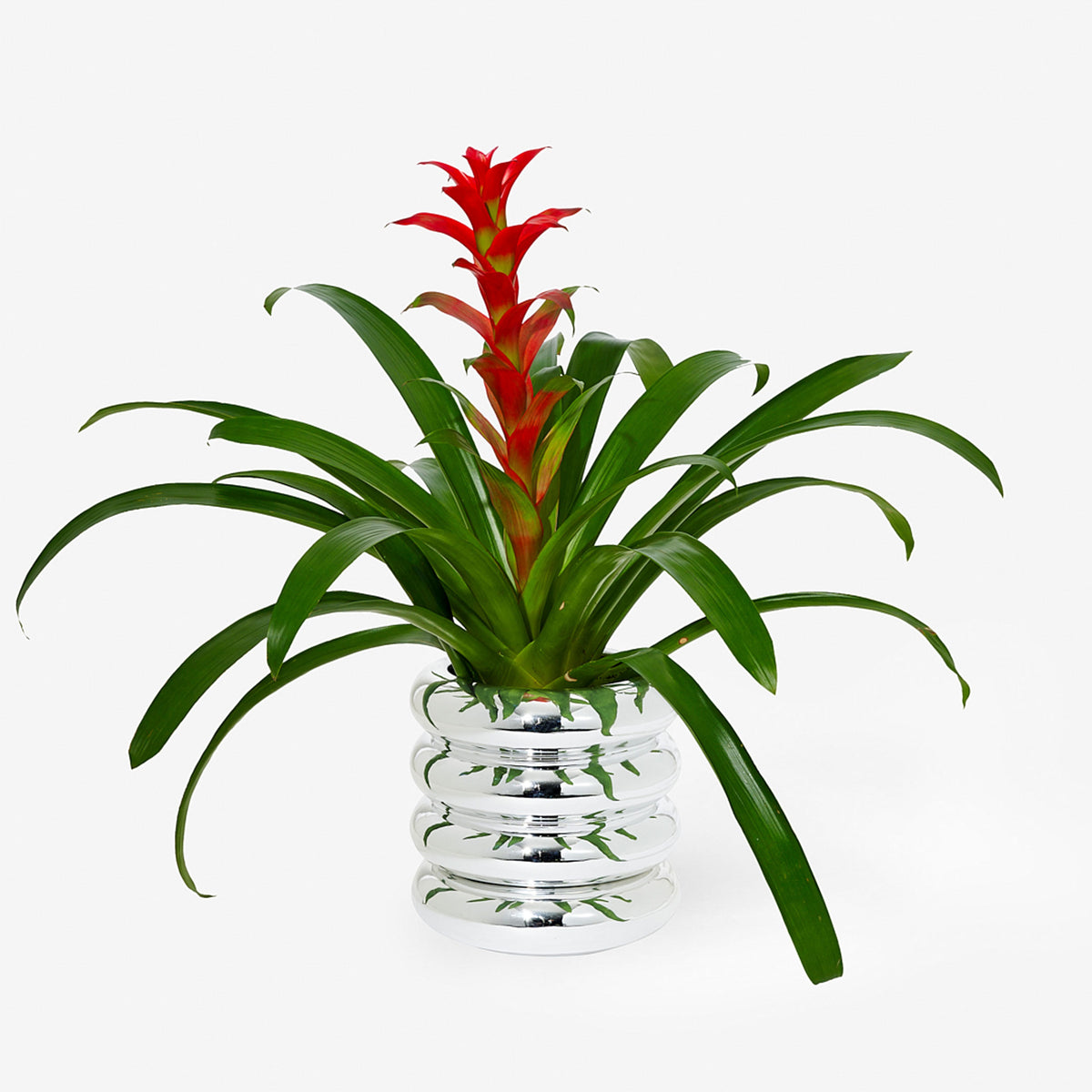 STACKING PLANTER CHROM | großes BLUMENGEFÄSS | Chen Chen & K. William | Areaware