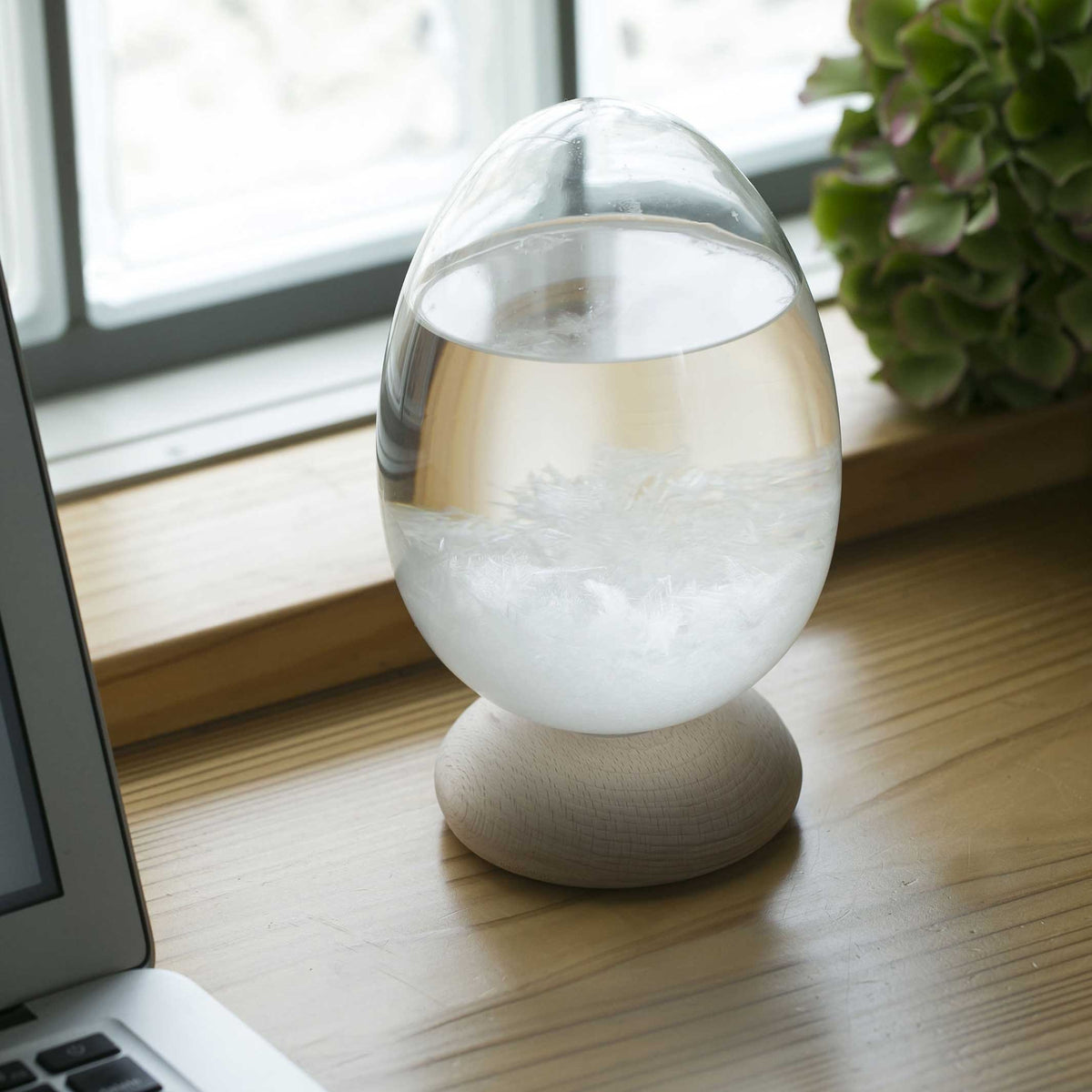 Sturmglas "Tempo Pulse" – Glas · Klar · 17 cm | 100percent