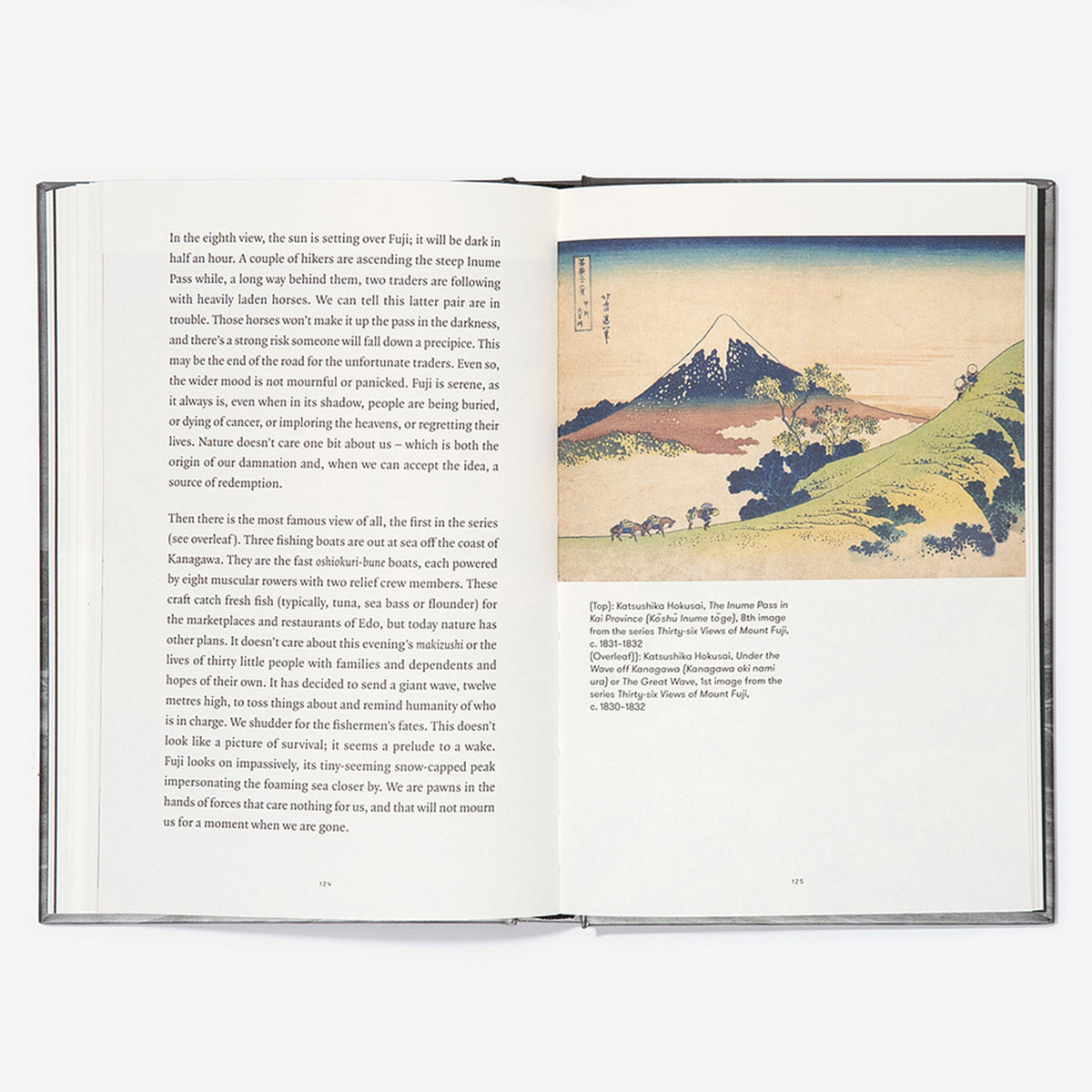 Buch "Varieties of Melancholy" – Englisch | The School of Life