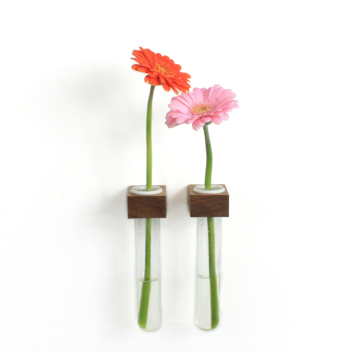 CONTAINER 2 - Holzvase für die Wand - 2er Set | FIGR1