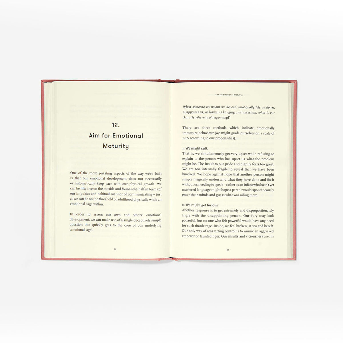 Buch "What They Forgot to Teach You at School" | The School of Life