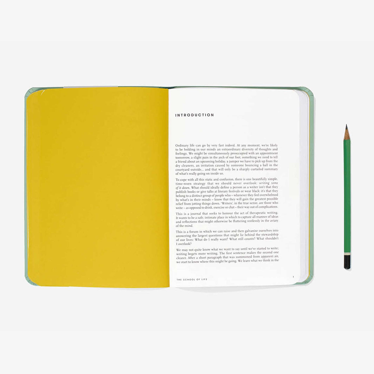 JOURNAL D'ÉCRITURE - Journal à pois vert clair - Édition anglaise | L'école de la vie