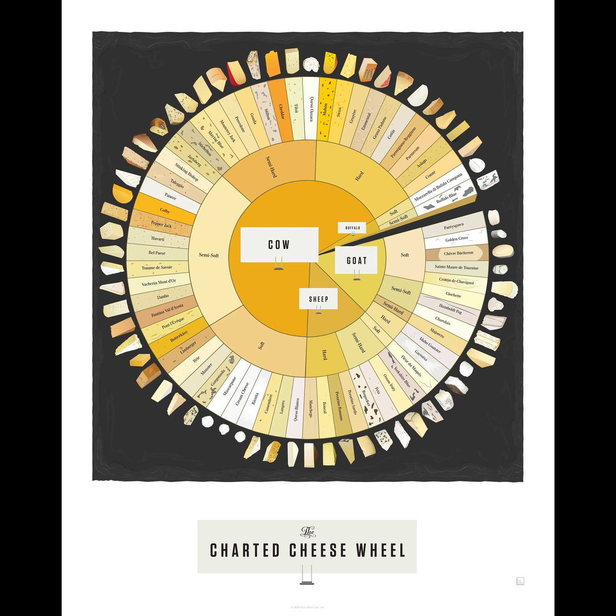 THE CHARTED CHEESE WHEEL | Infografik KÄSE POSTER | 41x51 cm | Pop Chart