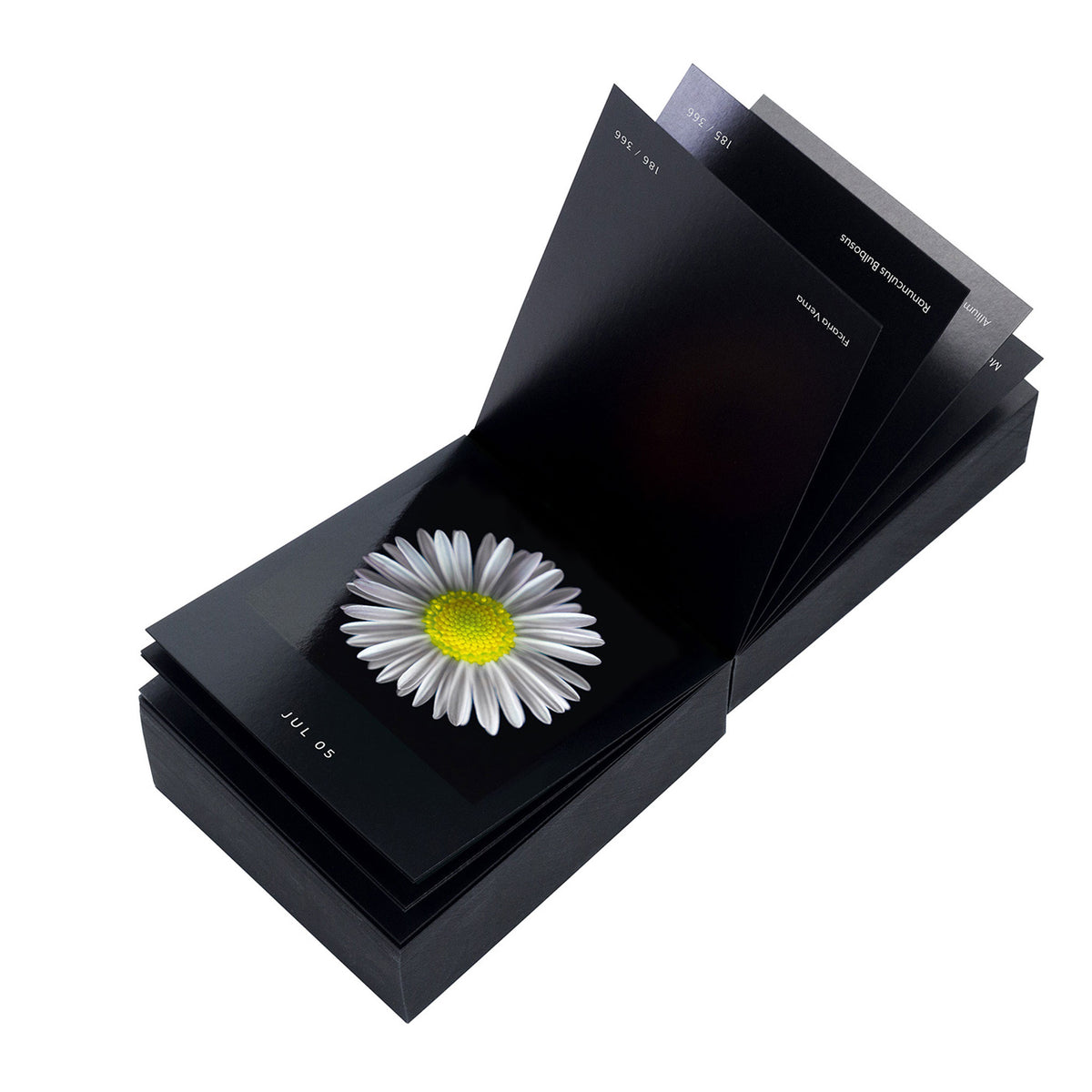 FLAMBOYANT FLOWERS | A flower a day | Blumen KALENDER | Nicolas Mériel | seltmann+söhne