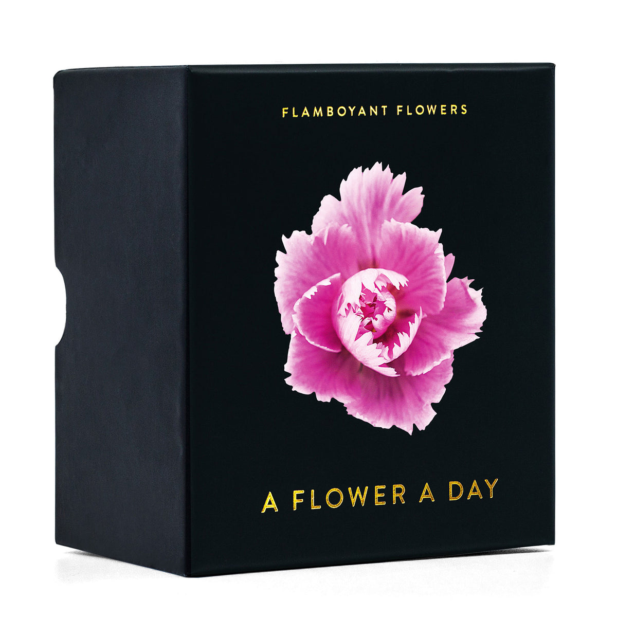 FLAMBOYANT FLOWERS | A flower a day | Blumen KALENDER | Nicolas Mériel | seltmann+söhne