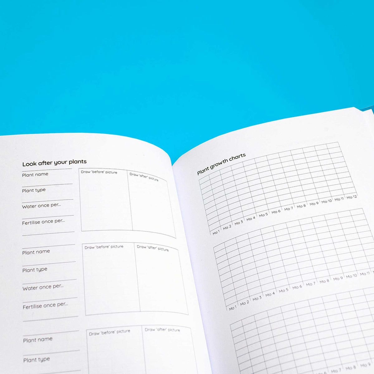 LIFE BOOK | LEBENSBUCH & PLANER | Softcover A5 & 188 Seiten | nolki
