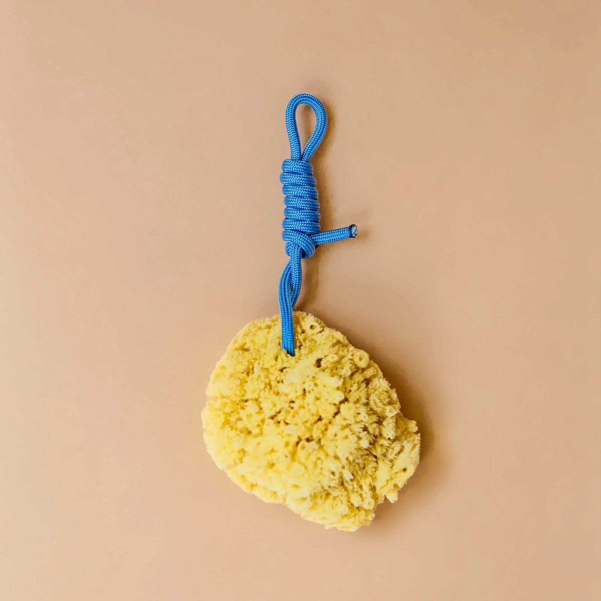 Mediterranean NATURAL SPONGE with colorful PET cord | Suite702