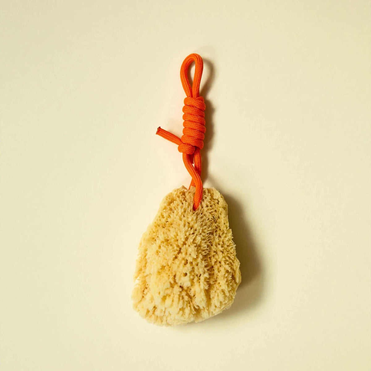 Mediterranean NATURAL SPONGE with colorful PET cord | Suite702