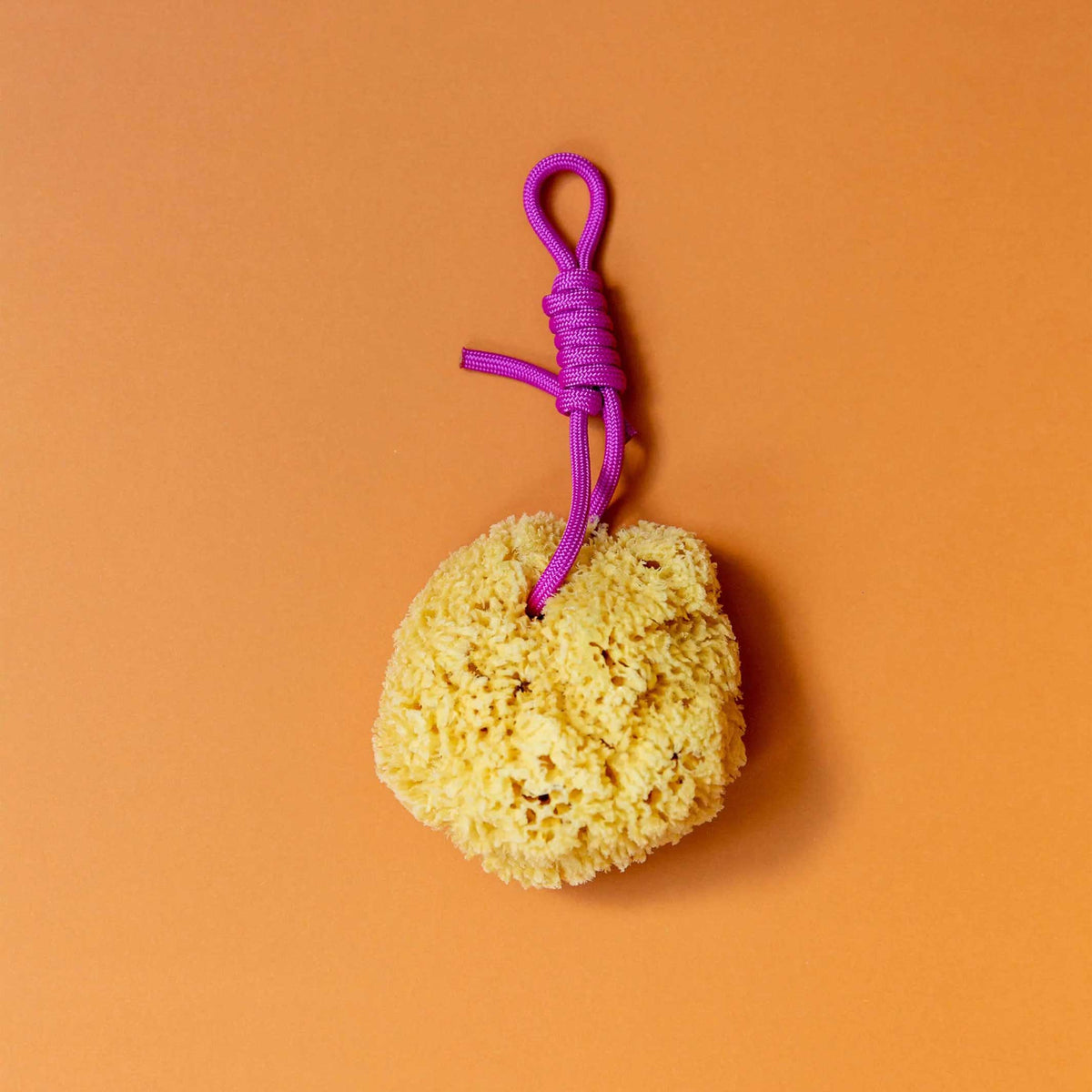 Mediterranean NATURAL SPONGE with colorful PET cord | Suite702
