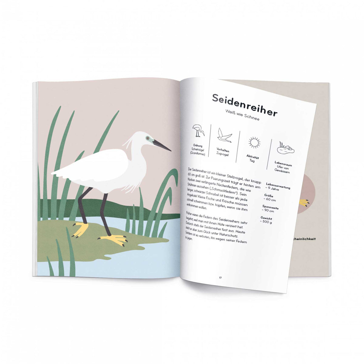ORNITHORAMA | Die wunderbare Welt der VÖGEL| KINDER-WISSENBUCH | Lisa Voisard | Helvetiq - Charles & Marie