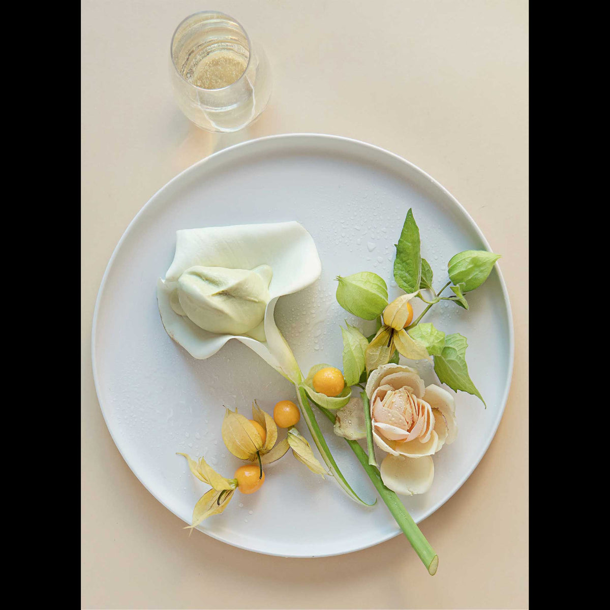 STORY ON A PLATE | The delicate art of plating dishes | BUCH | Gestalten Verlag - Charles & Marie