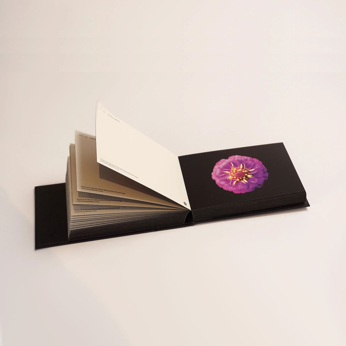 THE BLOOMING BOOK | Flamboyant Flowers | Flower postcards BOOK | Nicolas Mériel | seltmann+söhne